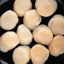Scallop kemasan