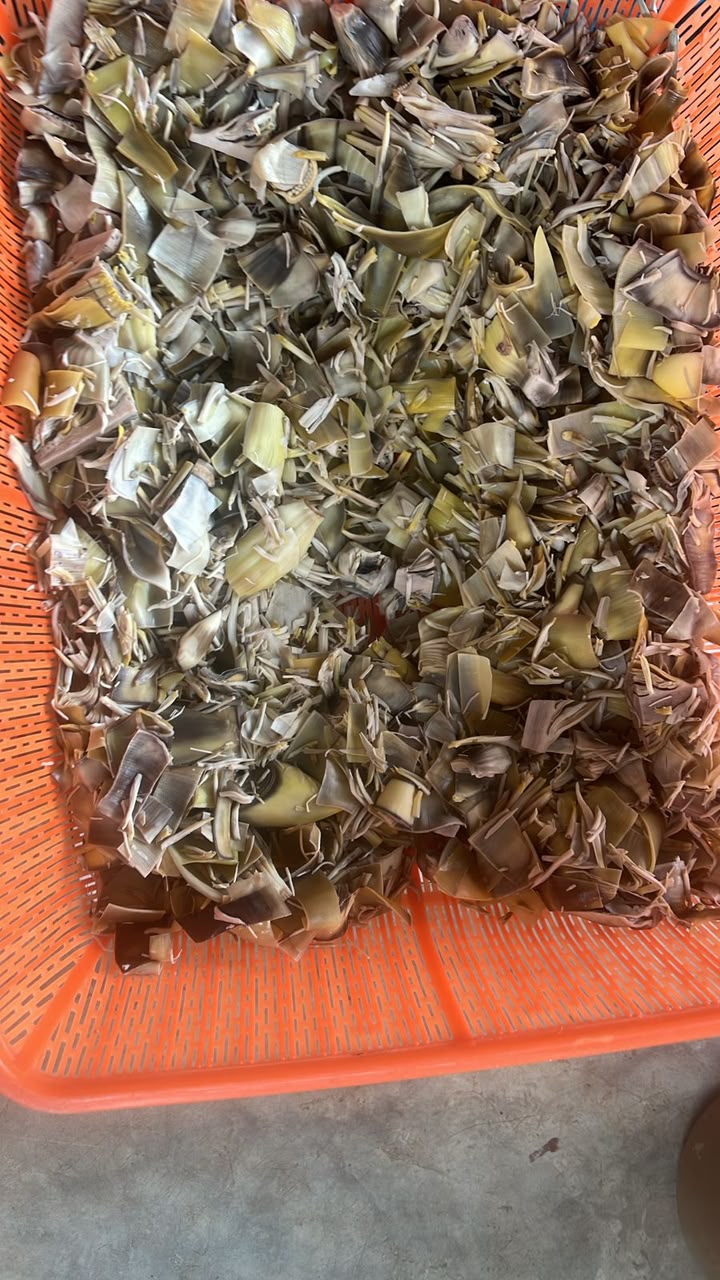 Jantung Pisang