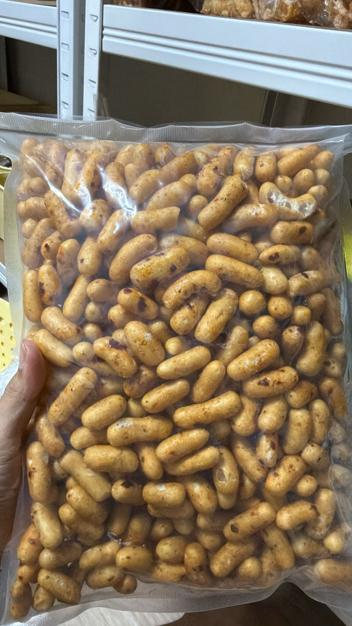 Pilus laktus pedas