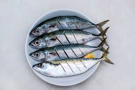 Ikan Kembung