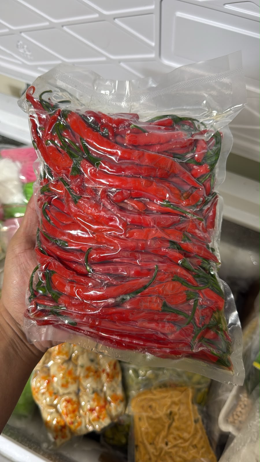 Cabe Keriting Indonesia