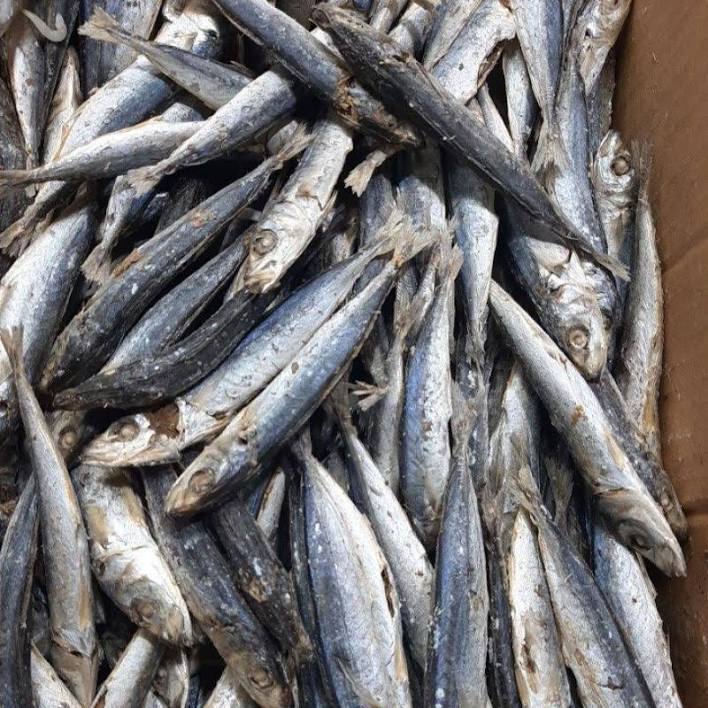 Ikan asin